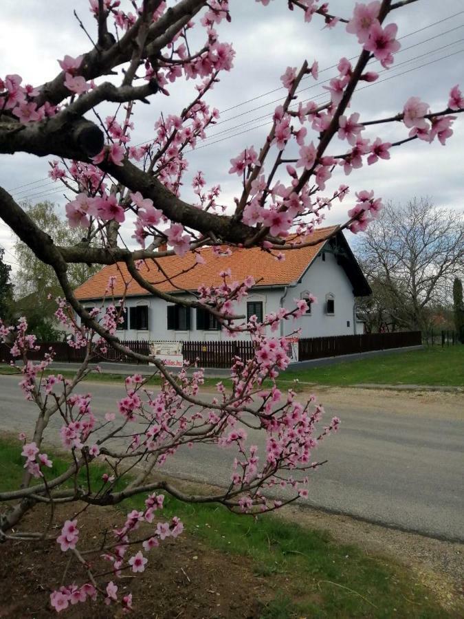 Szentgyörgyvölgy Vendégház Őrség Szentgyorgyvolgy Exterior foto